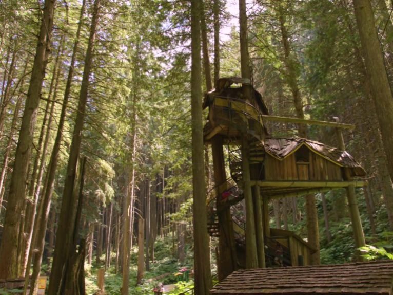BC’s Tallest Treehouse