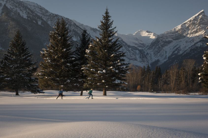 NORDIC SKIING