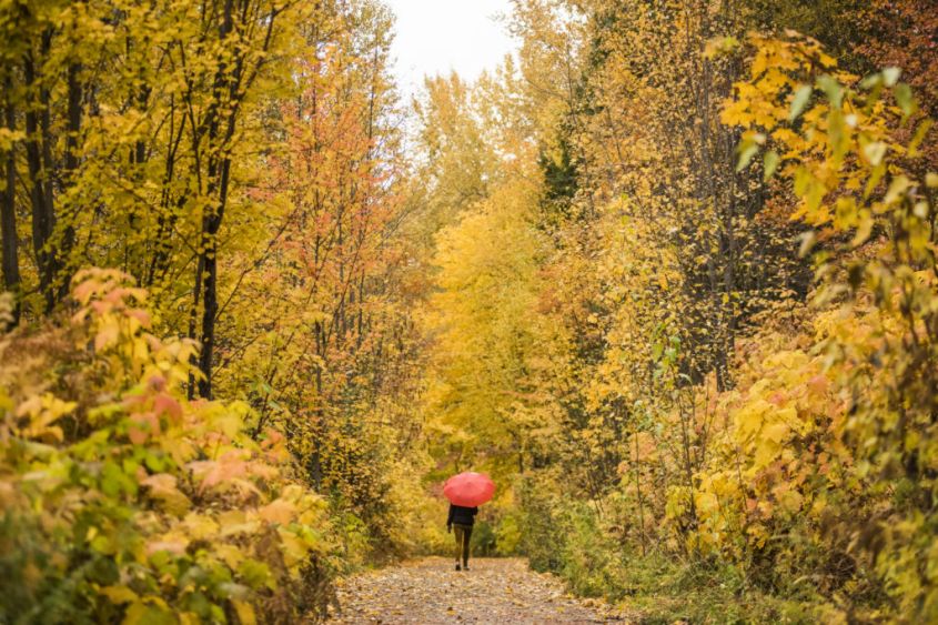 Nelson Salmo Rail Trail in the fall