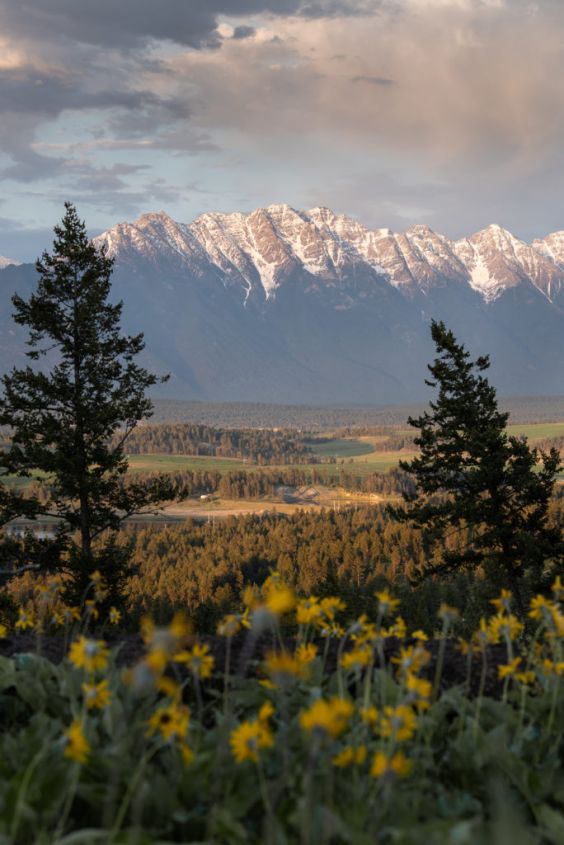 ROCKY MOUNTAIN BACKDROP