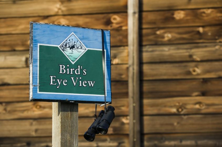 Bird’s Eye View