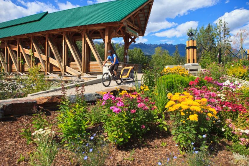 Kicking Horse Pedestrian Bridge
