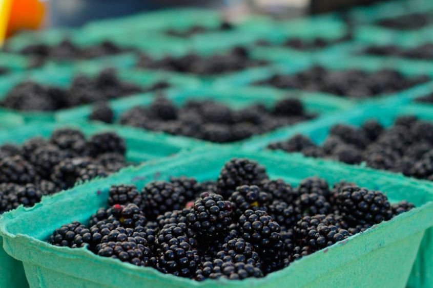 Farmers Market