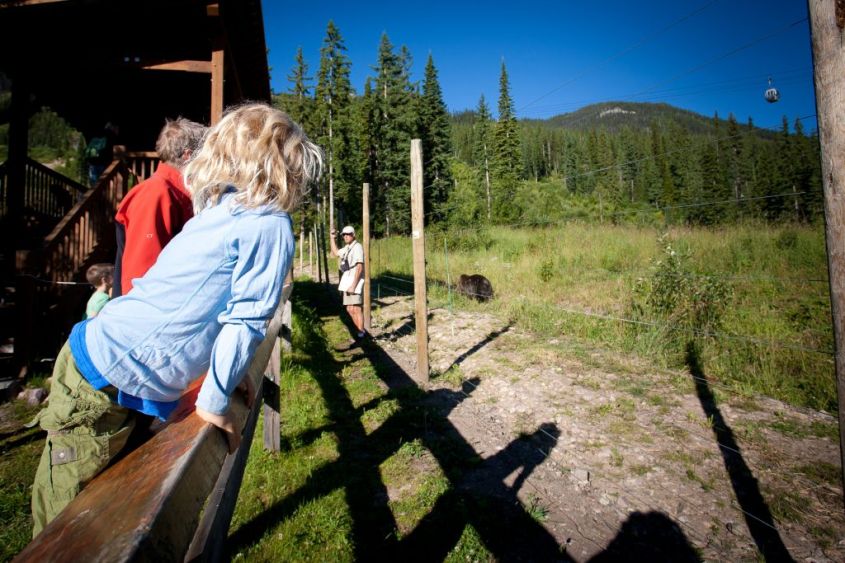 Wildlife Viewing