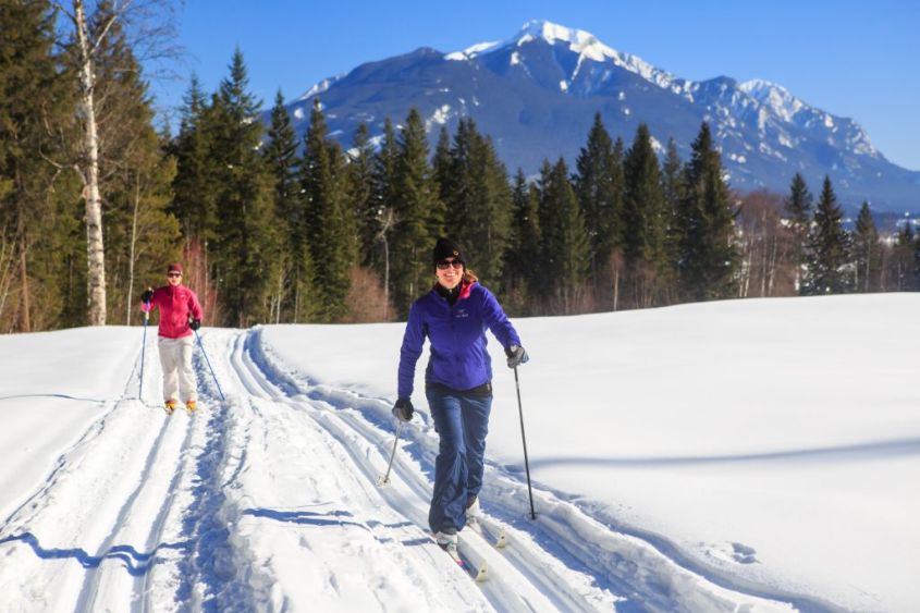 NORDIC SKIING