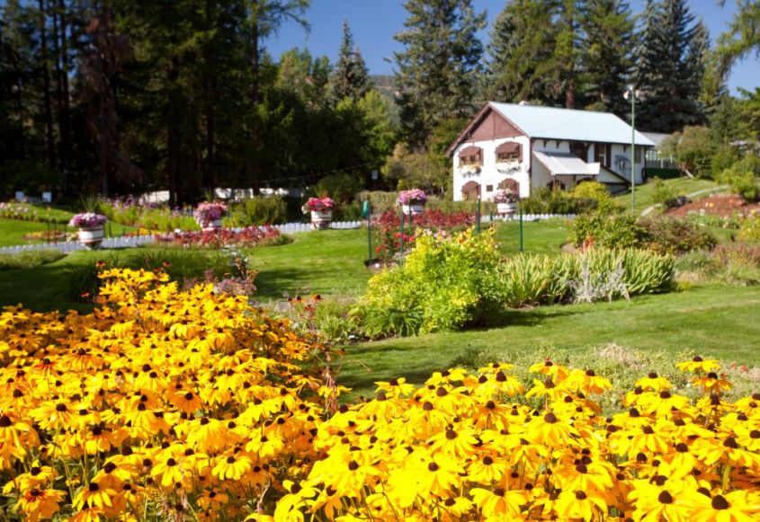 Cominco Gardens