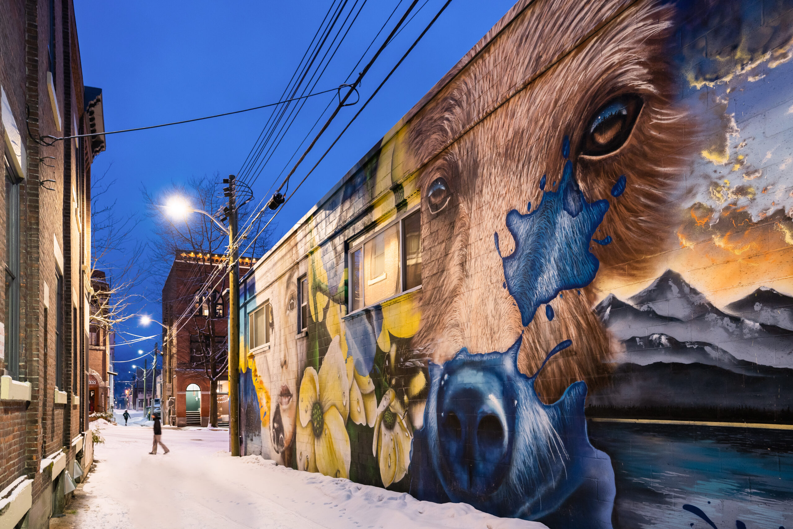 MURAL Kootenay Rockies Imagebank